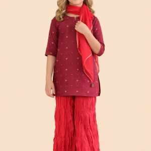 Purple Cotton Silk Blend 3pc Garara Set