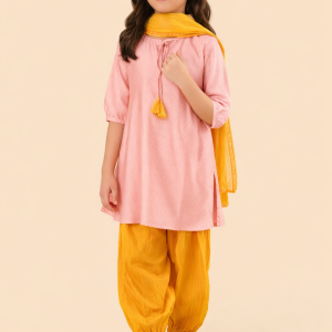 Pink Cotton Silk Blend Hand Block Print 3pc Salwar Set